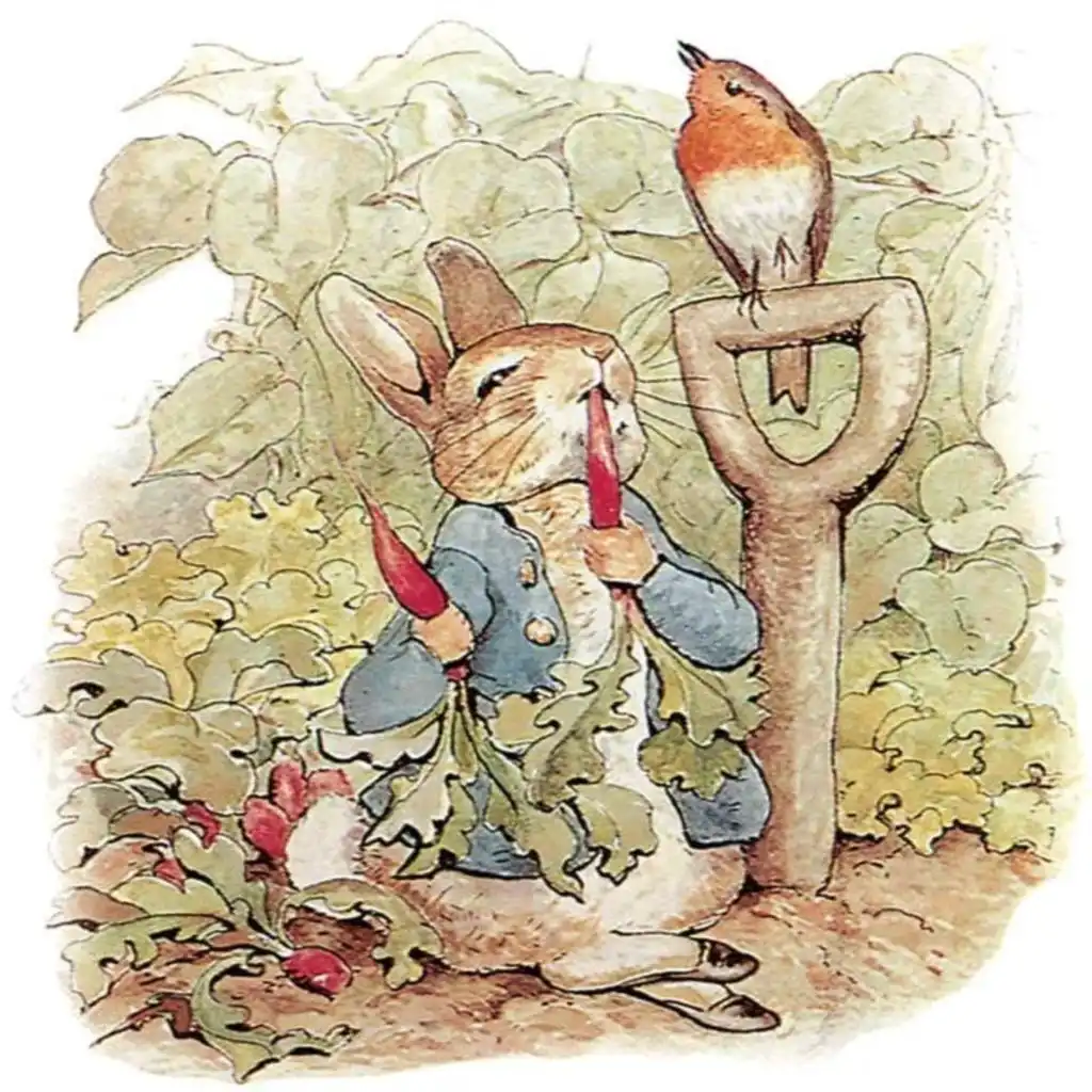 episode-header-image