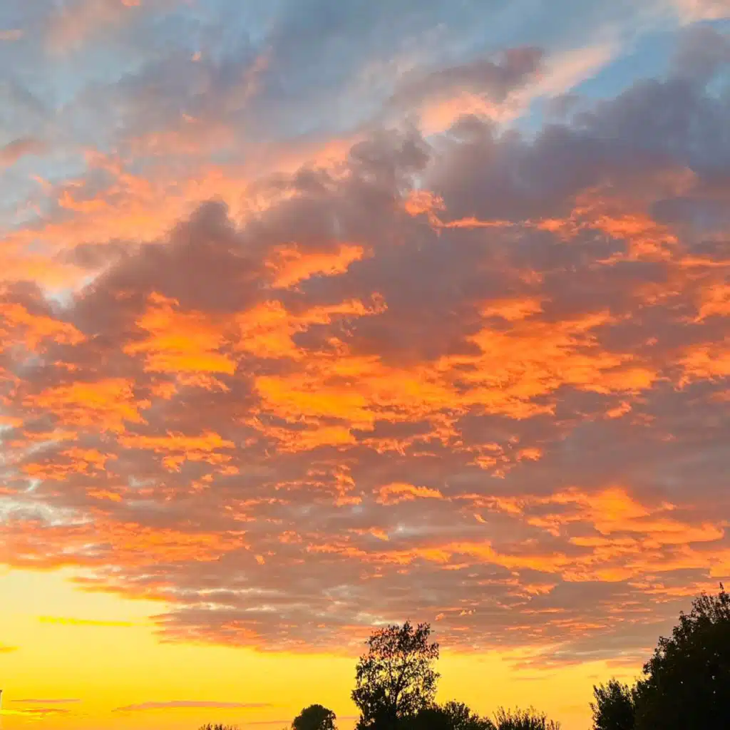 header-image
