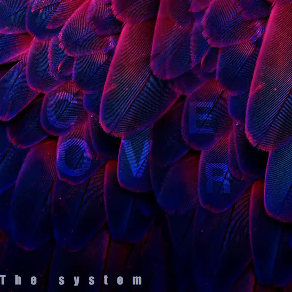 header-image