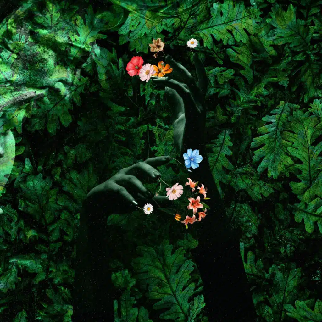 artist-header-image