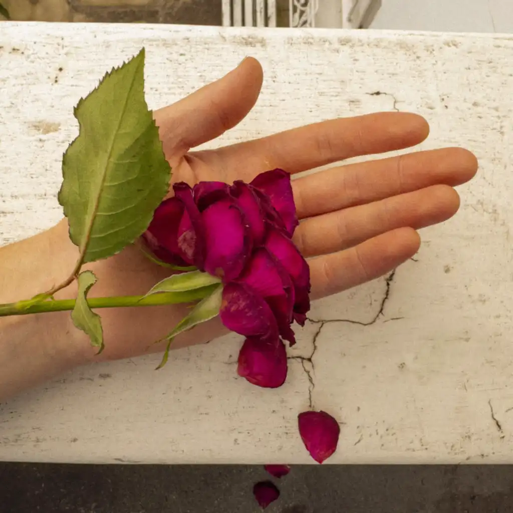 artist-header-image