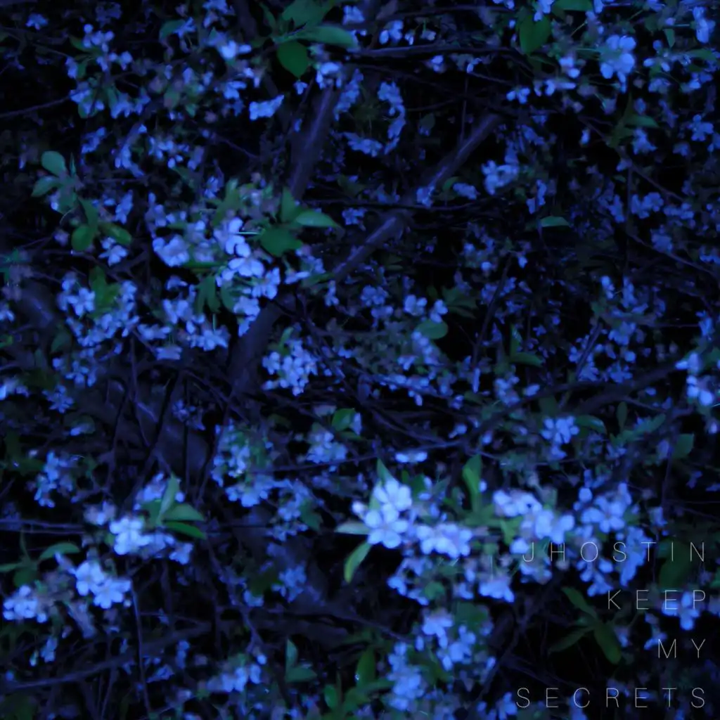 artist-header-image
