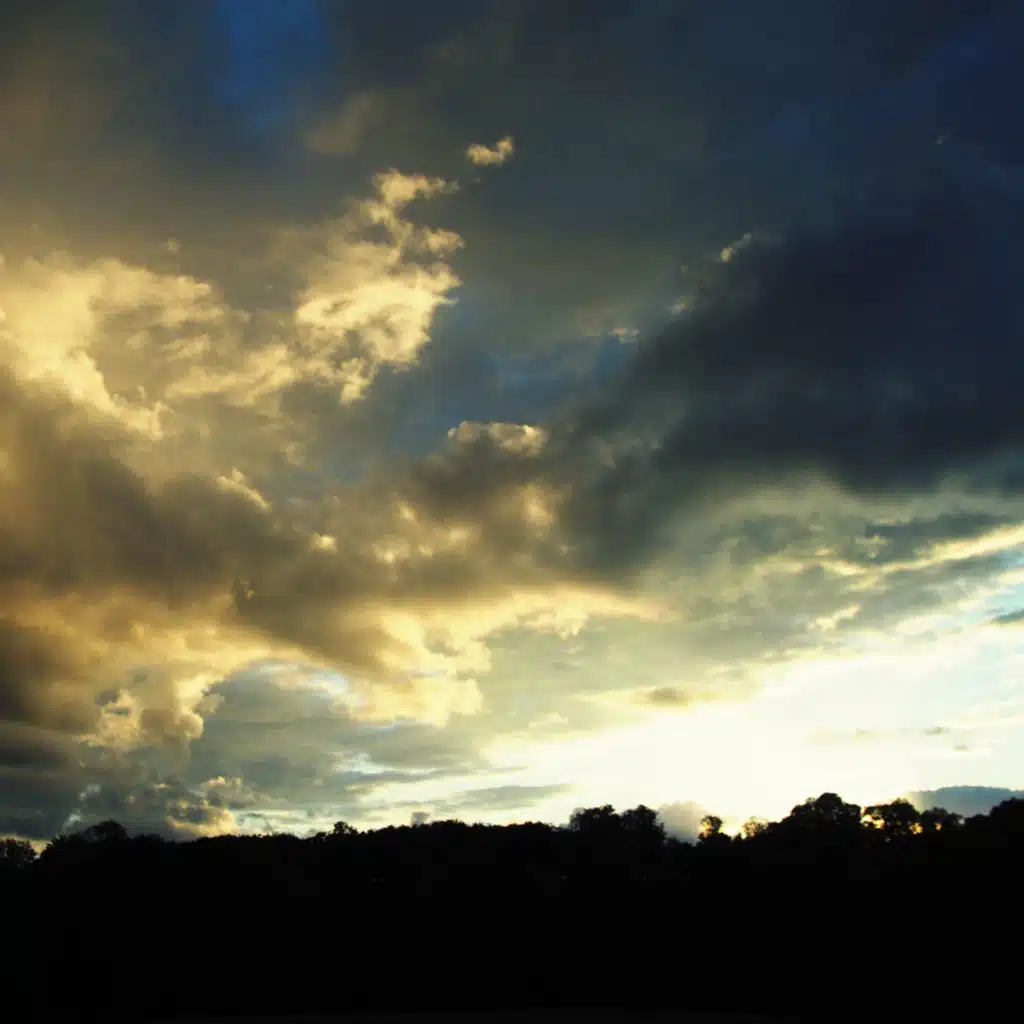 header-image