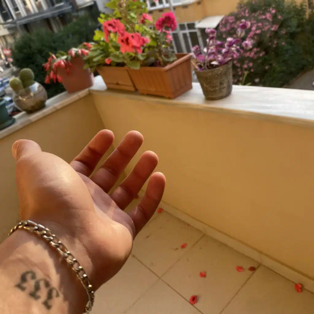 header-image