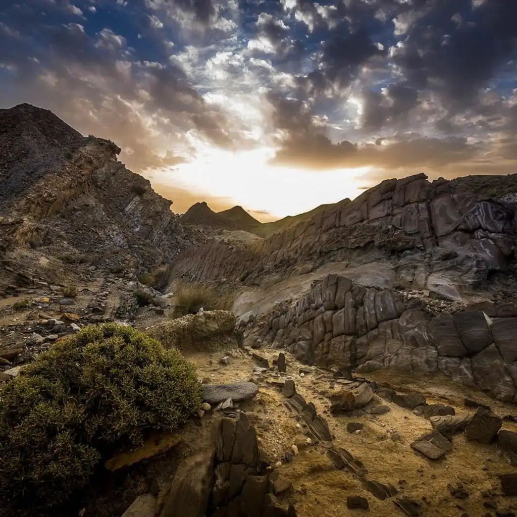header-image