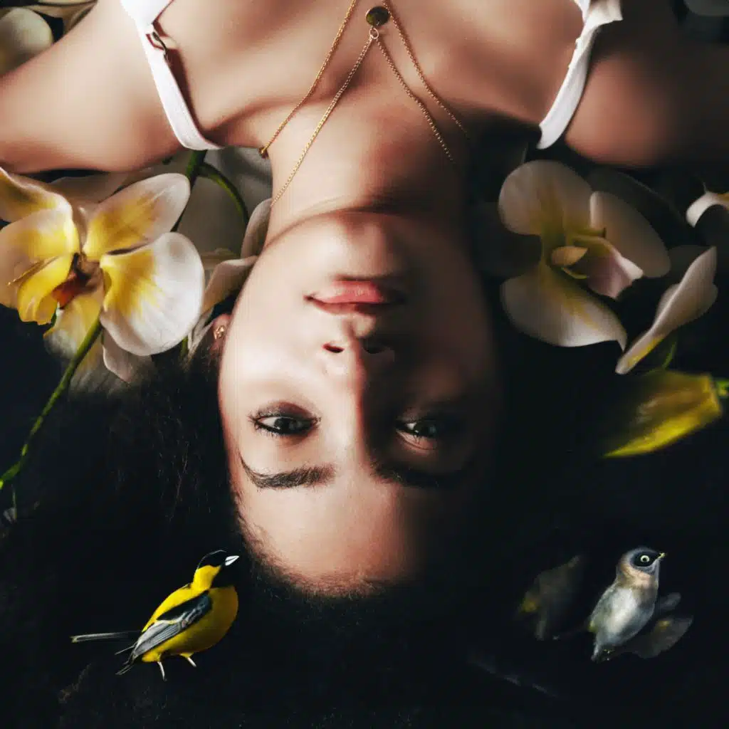 artist-header-image