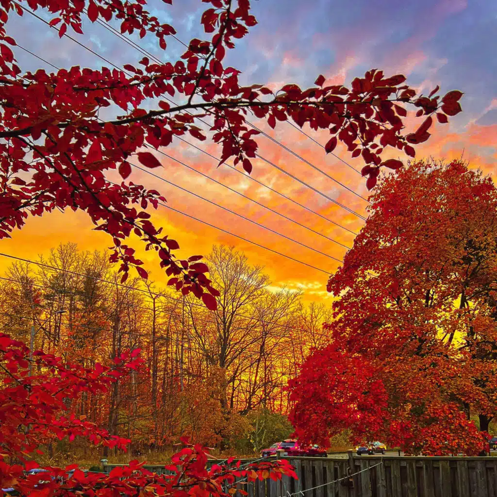 header-image