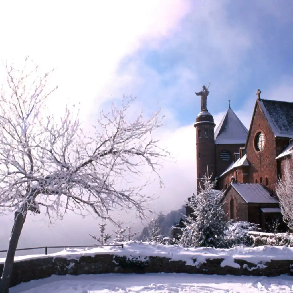 episode-header-image