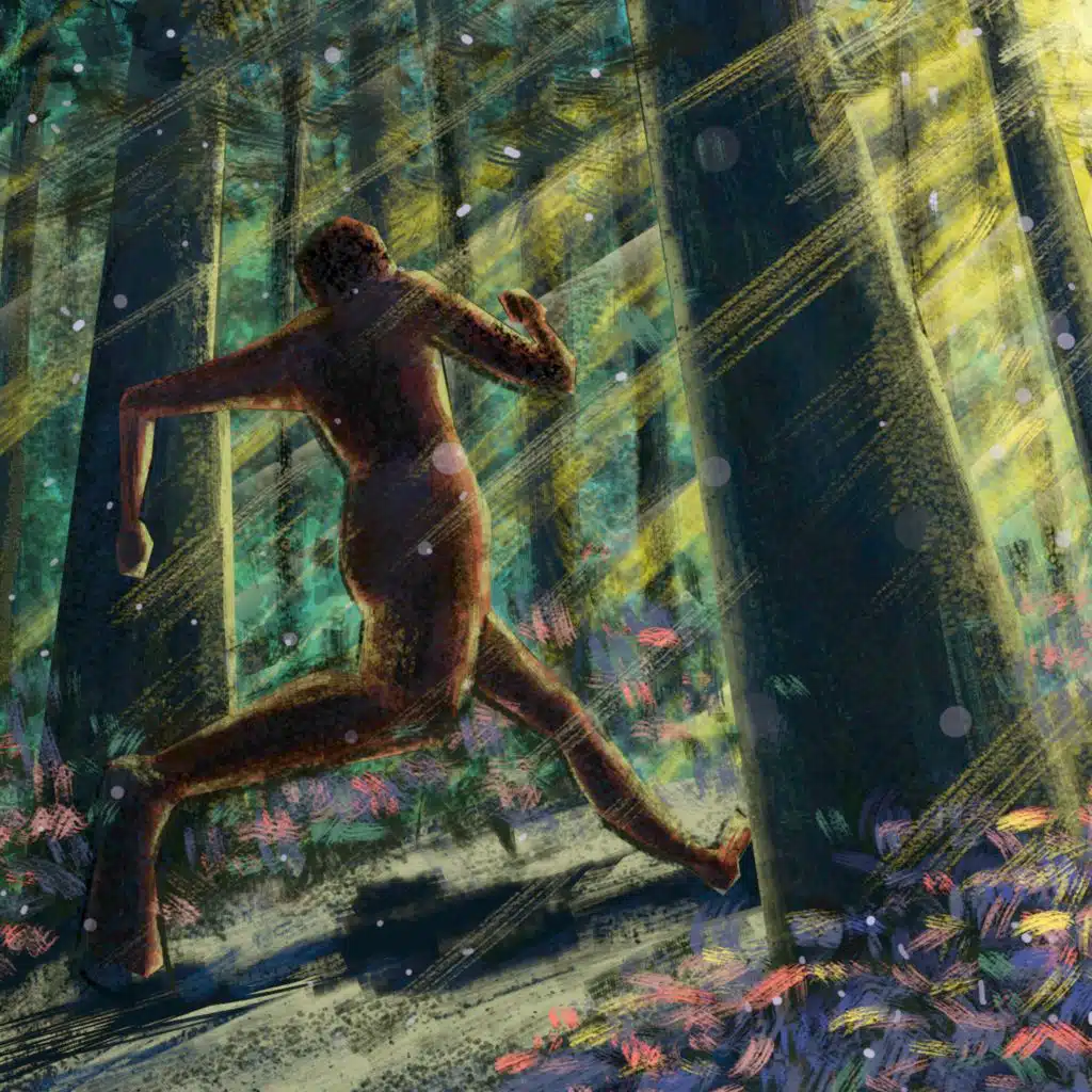 header-image