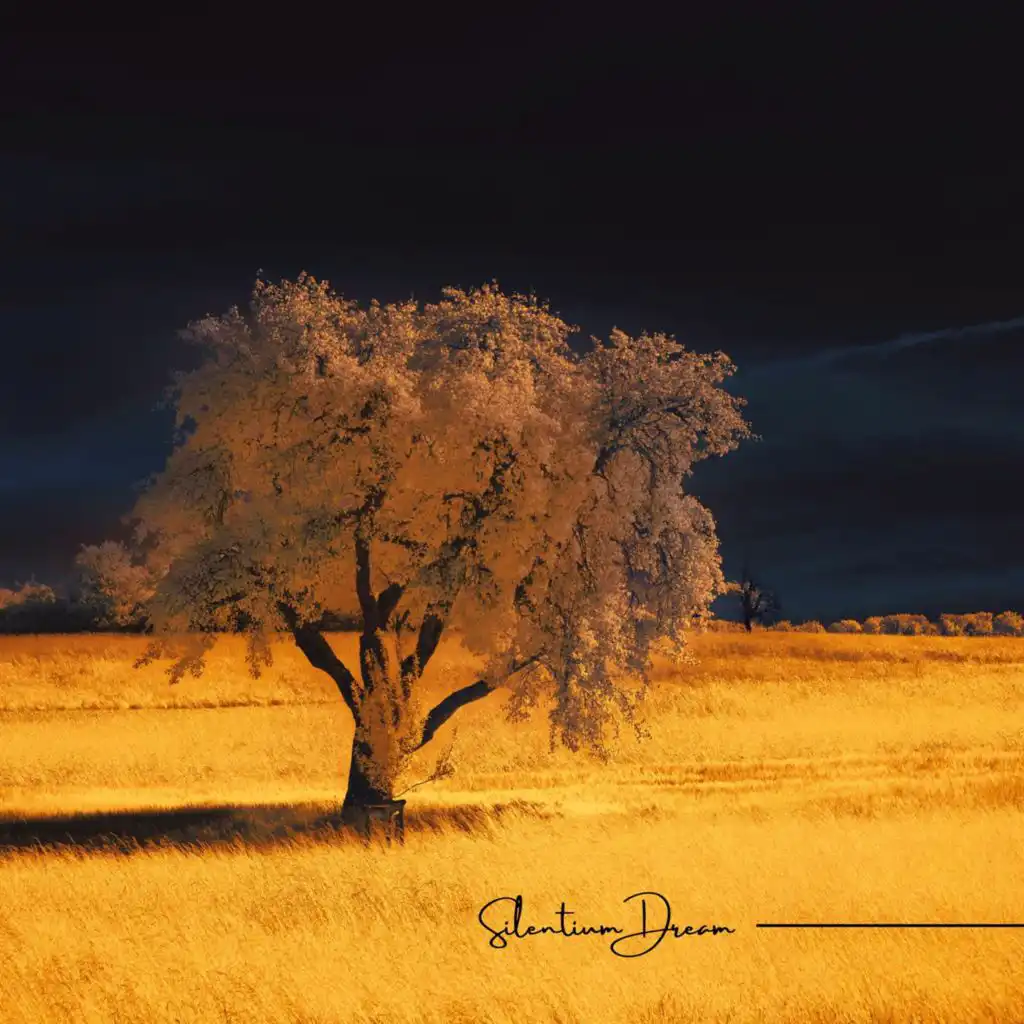 artist-header-image