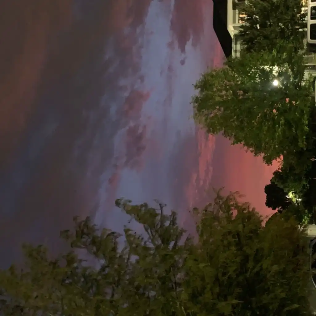 header-image