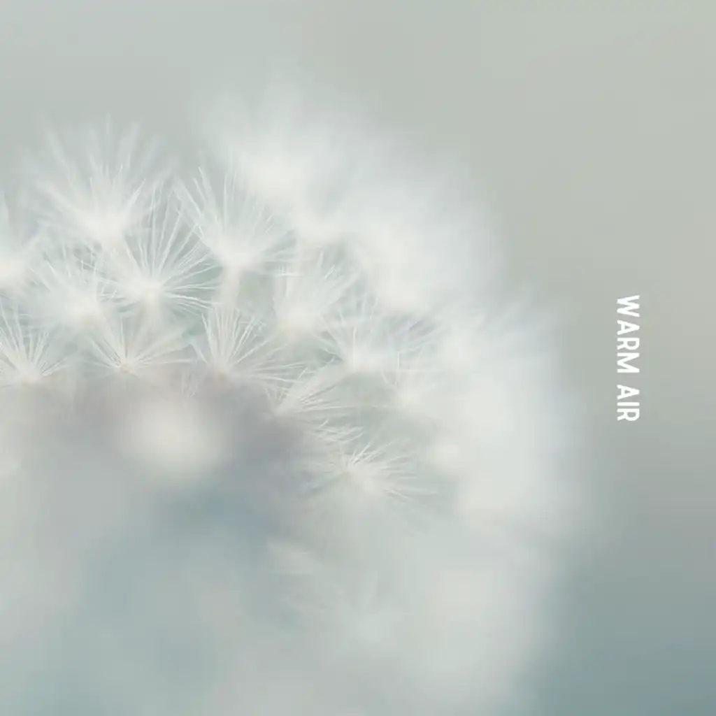 artist-header-image