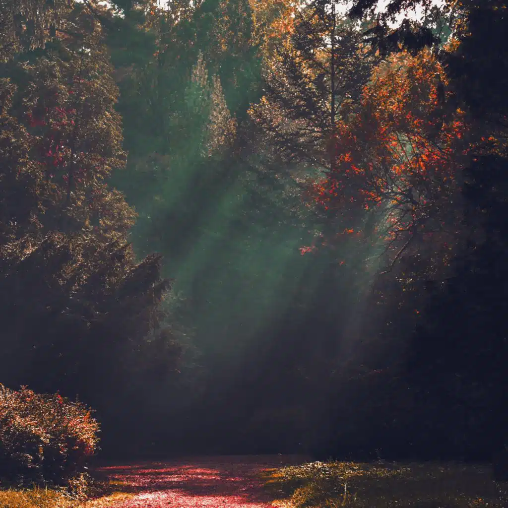 header-image