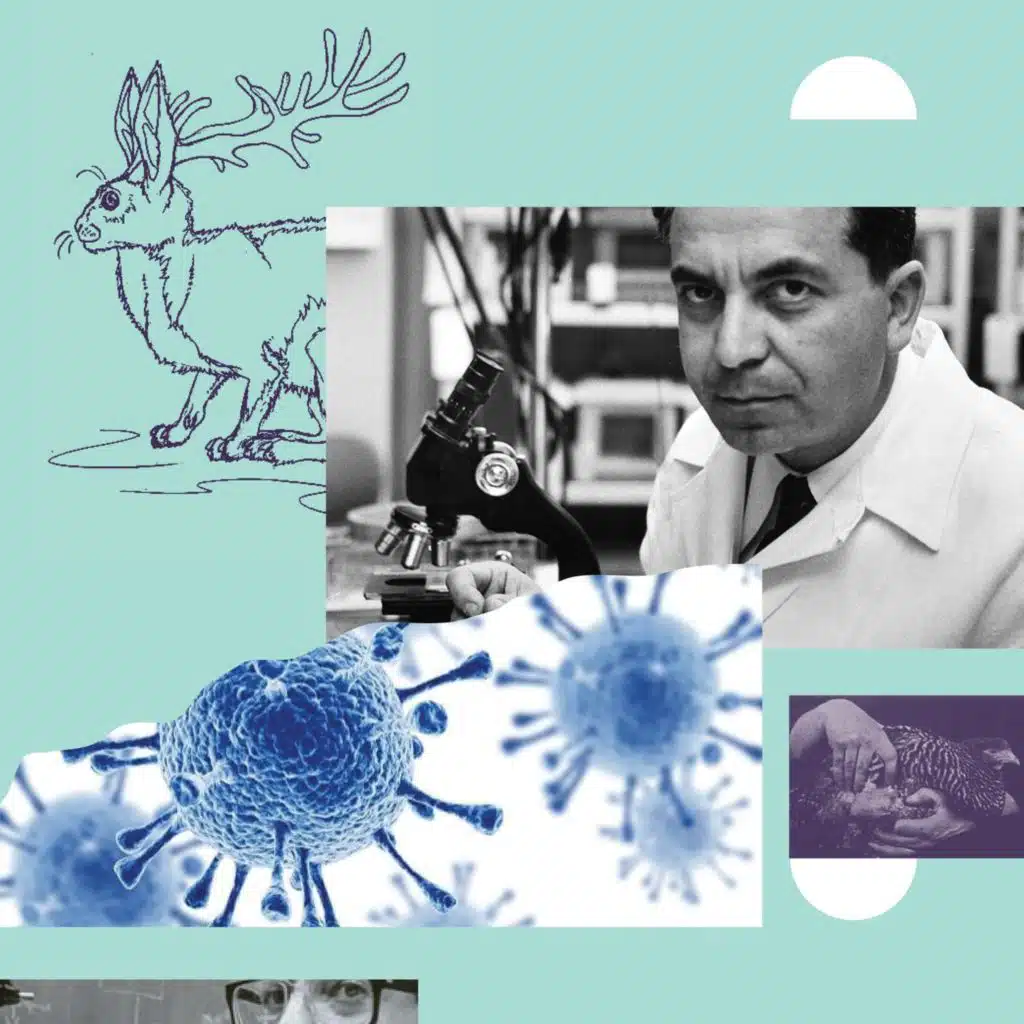 episode-header-image