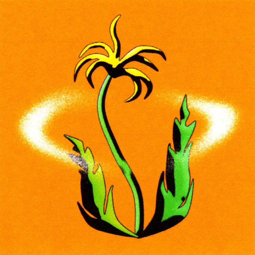 artist-header-image
