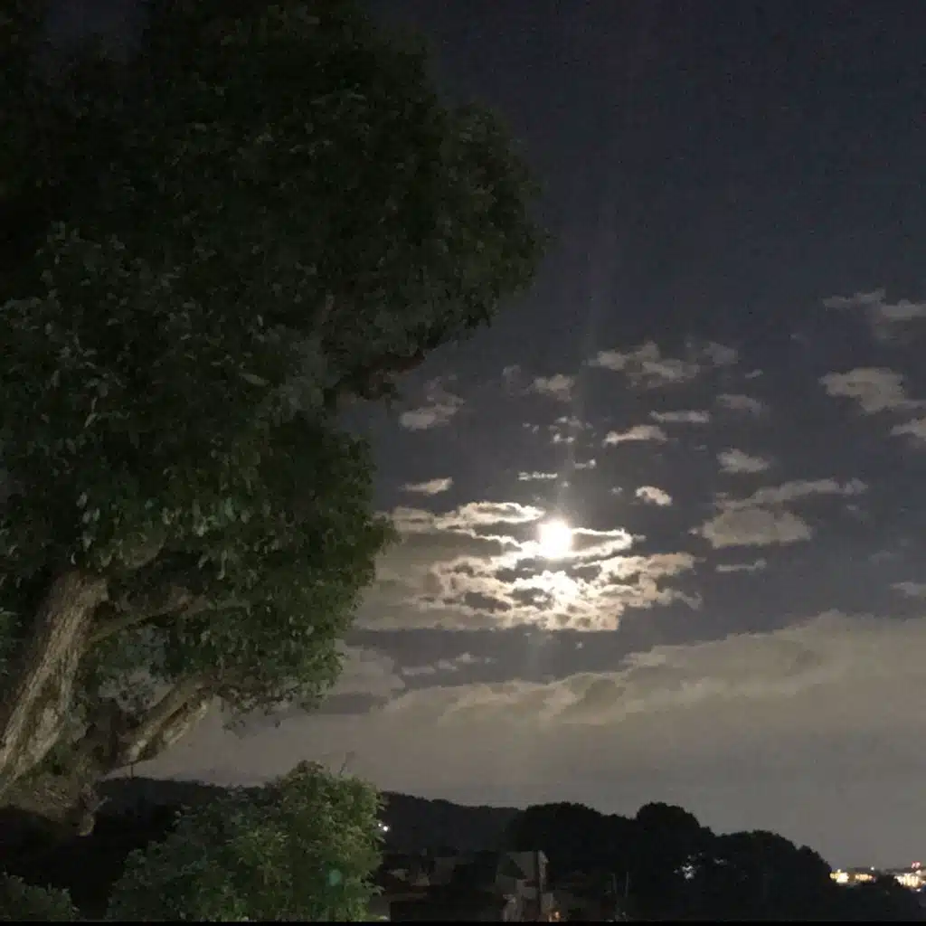 header-image