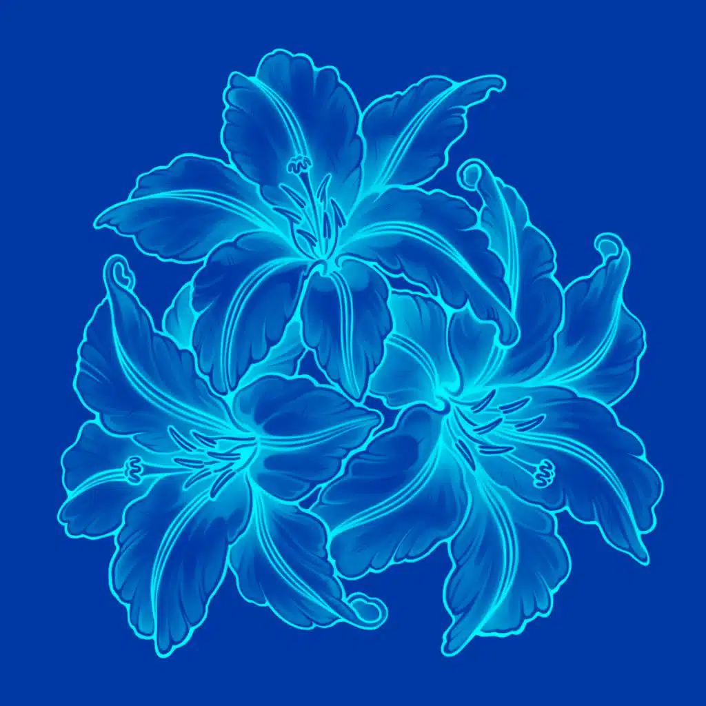 artist-header-image