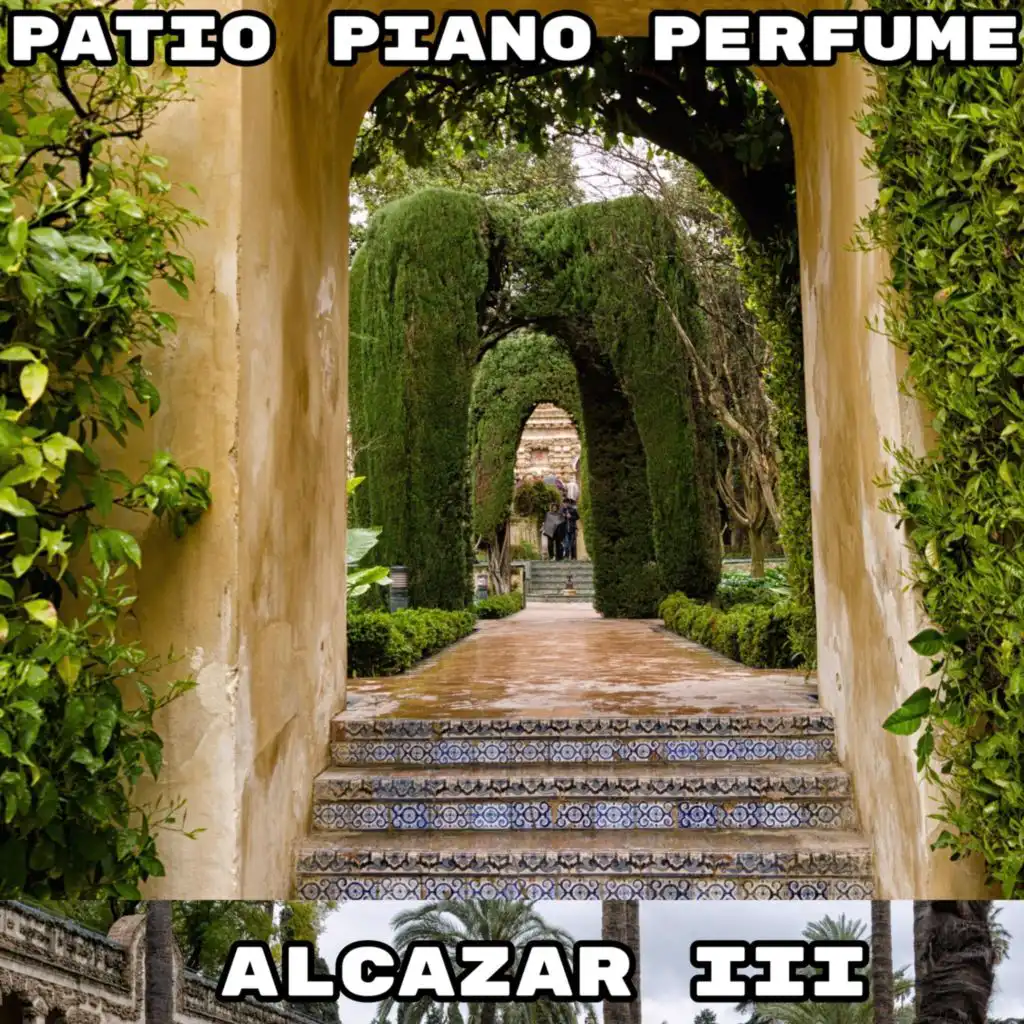 artist-header-image