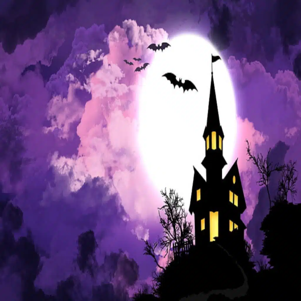 header-image