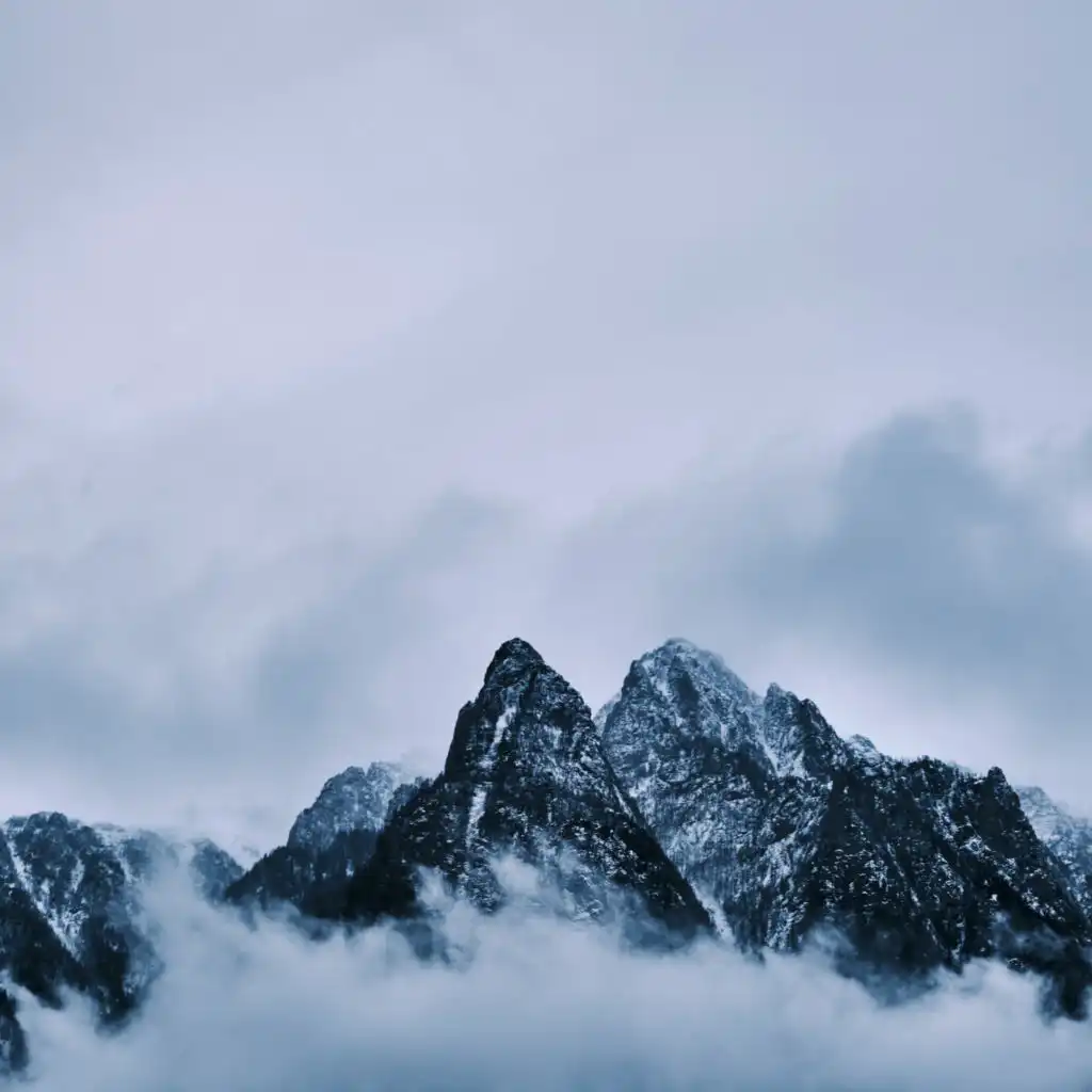artist-header-image