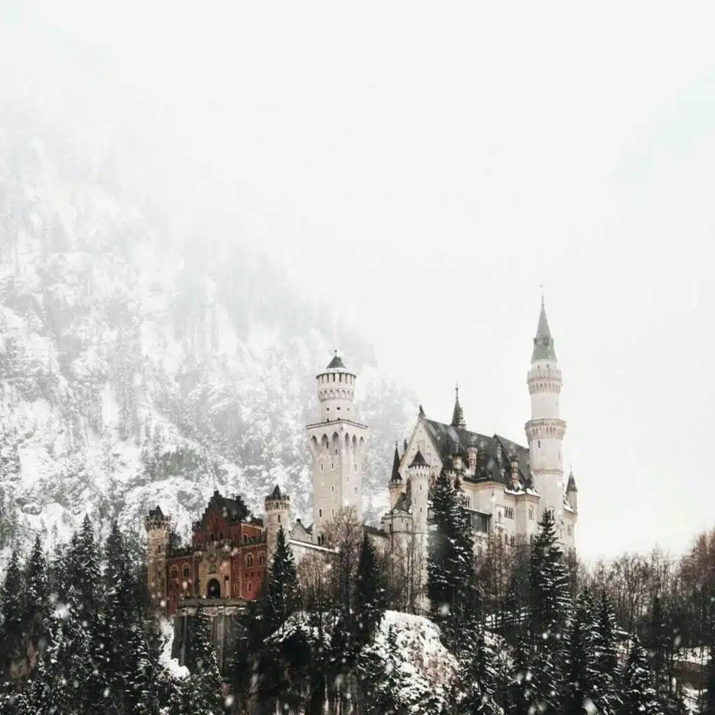 header-image