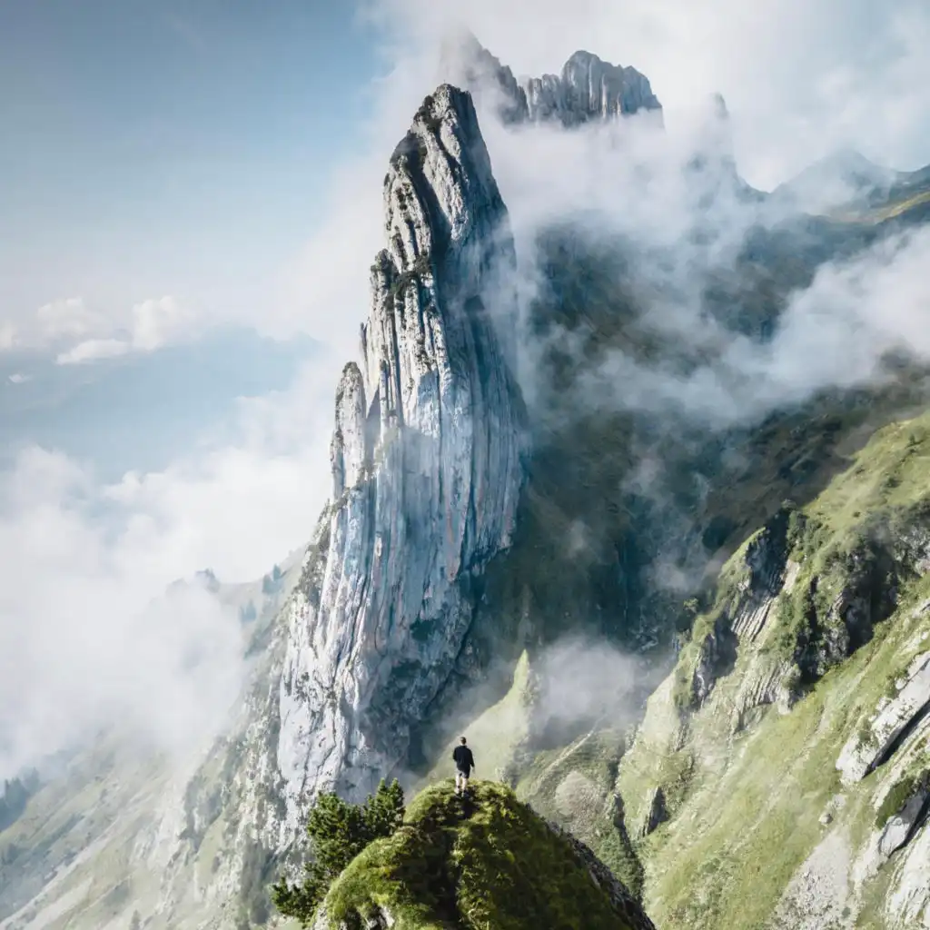artist-header-image