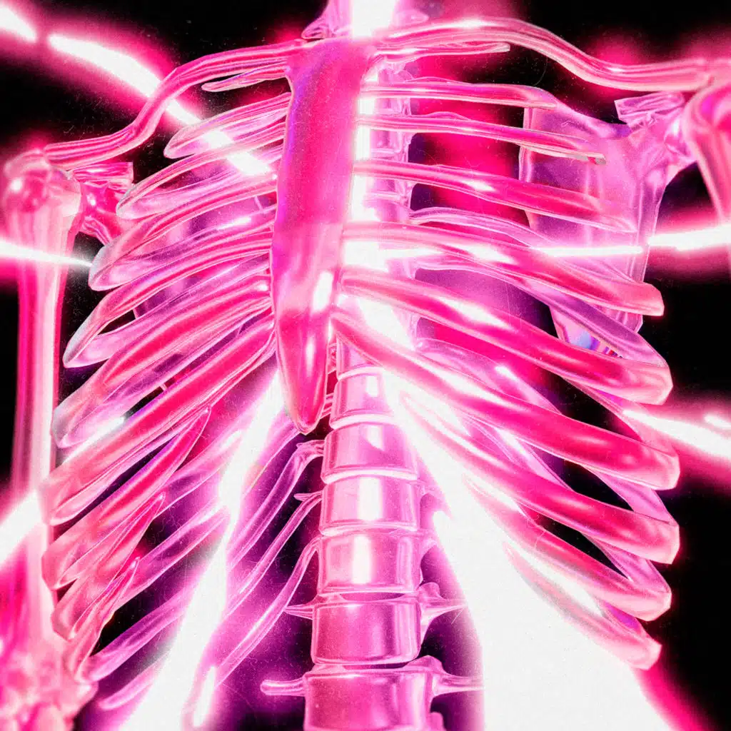 artist-header-image