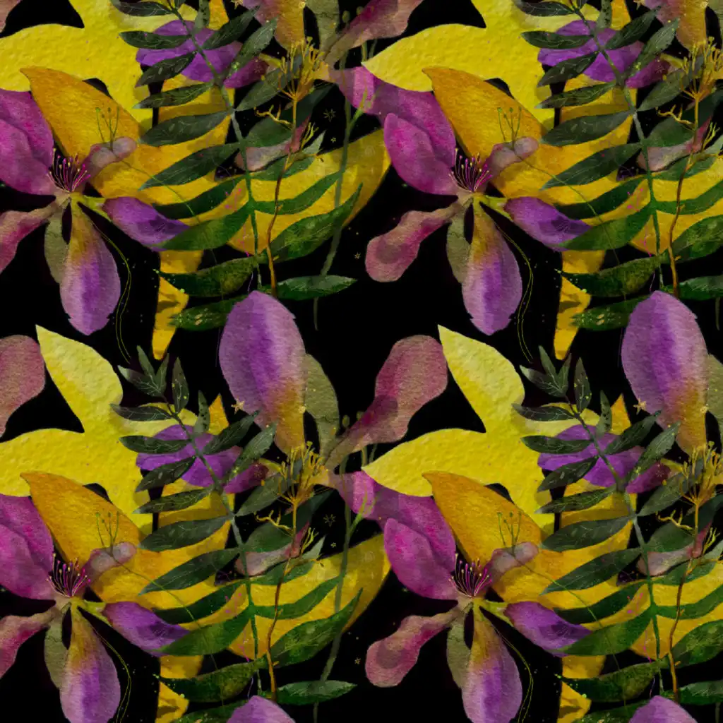 artist-header-image