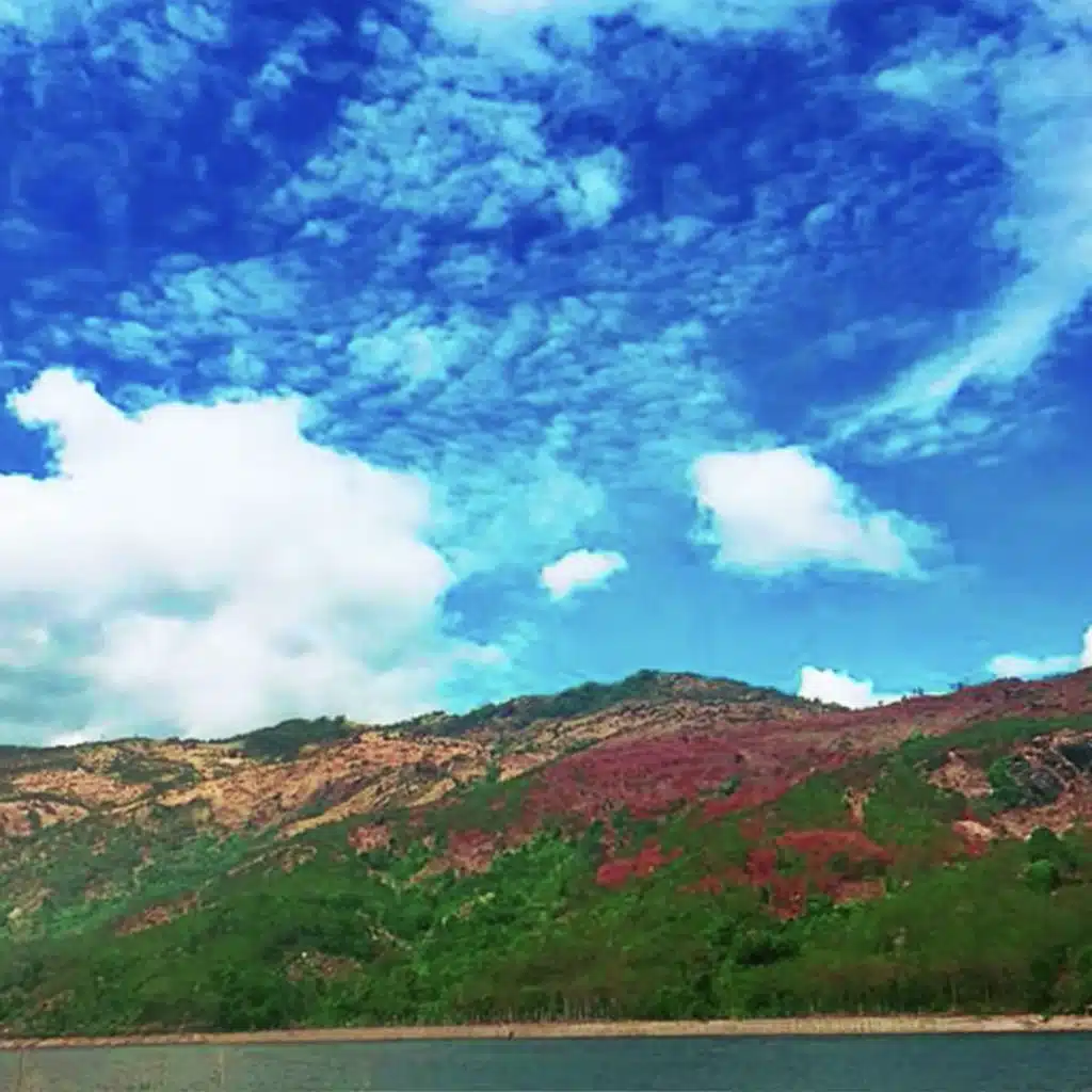 header-image