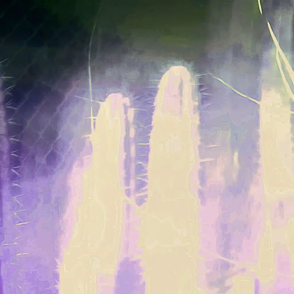 artist-header-image