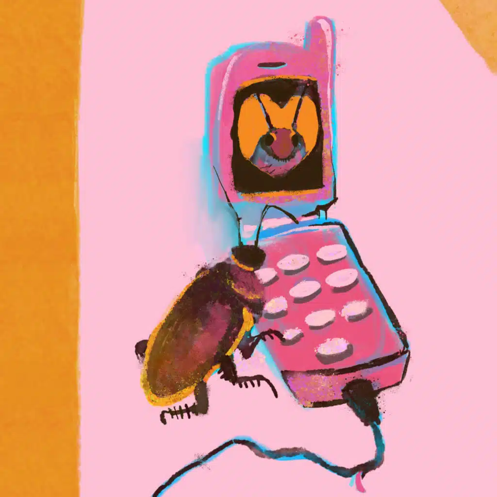 header-image