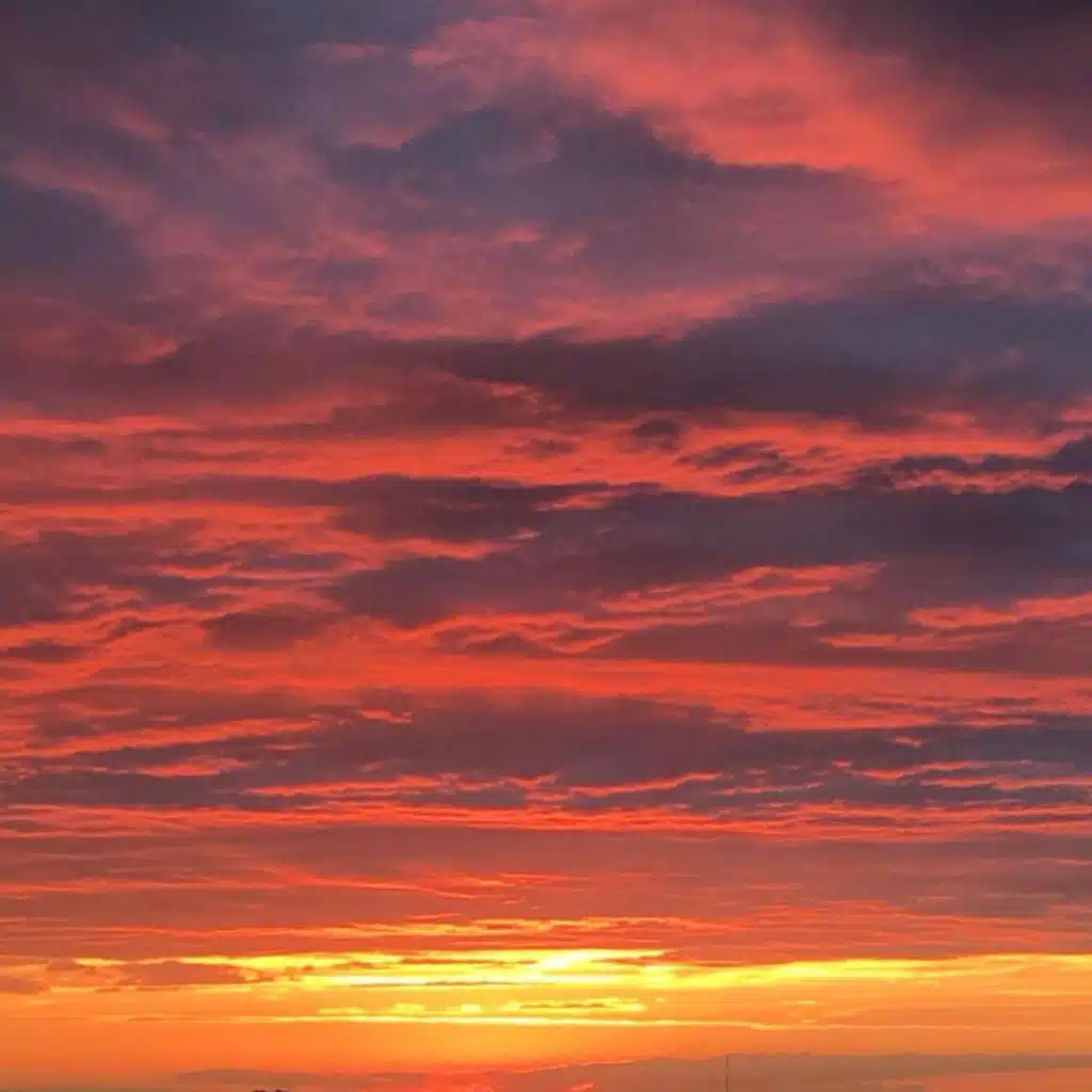 header-image