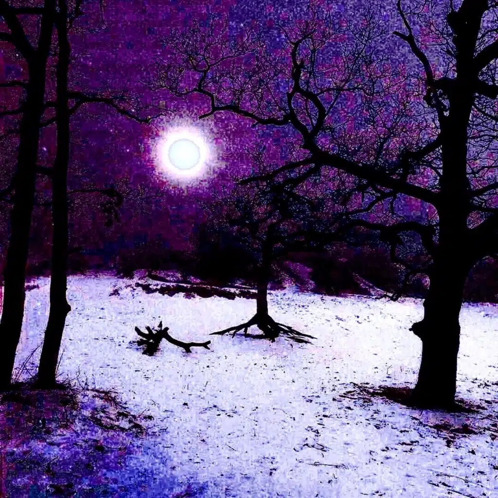 artist-header-image