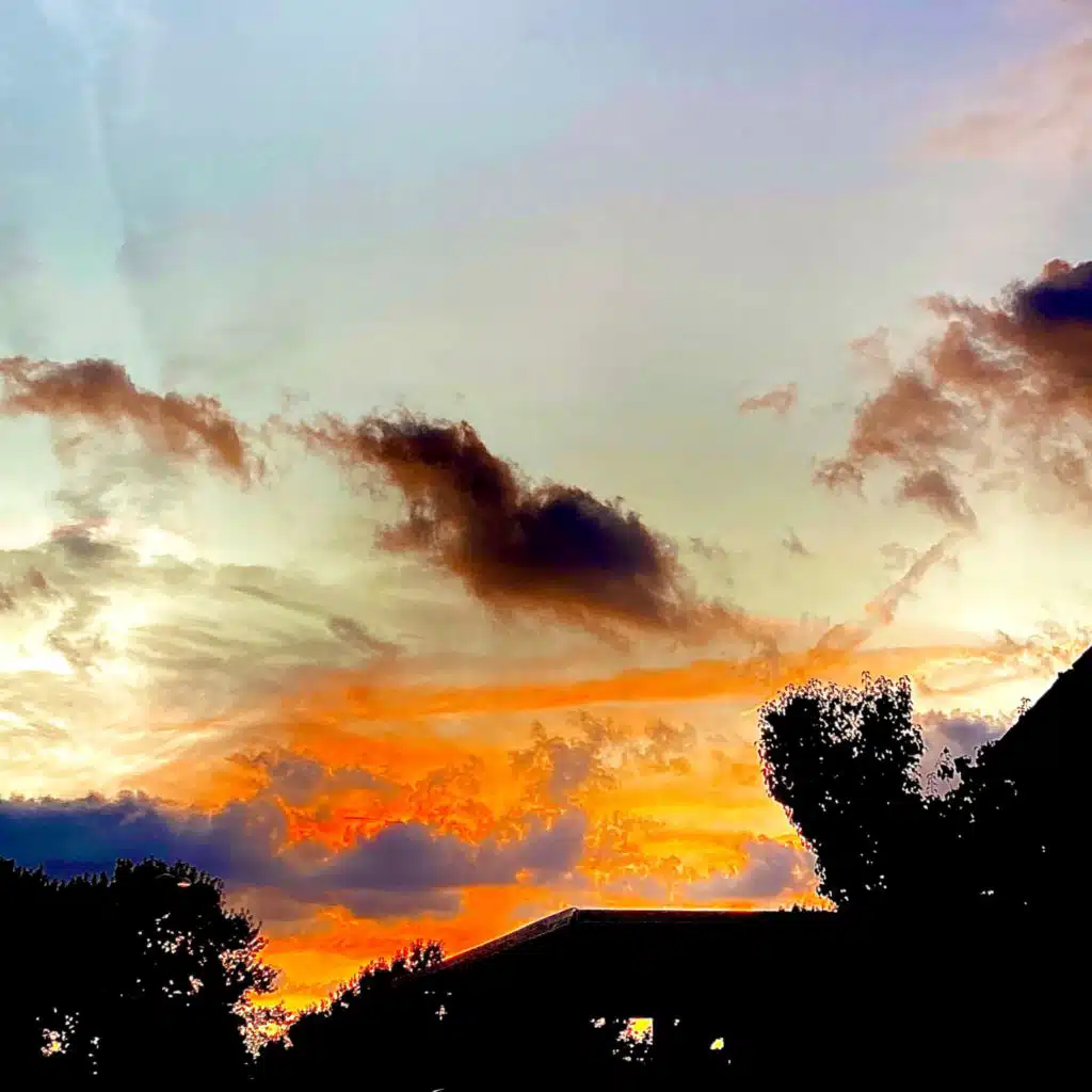 header-image