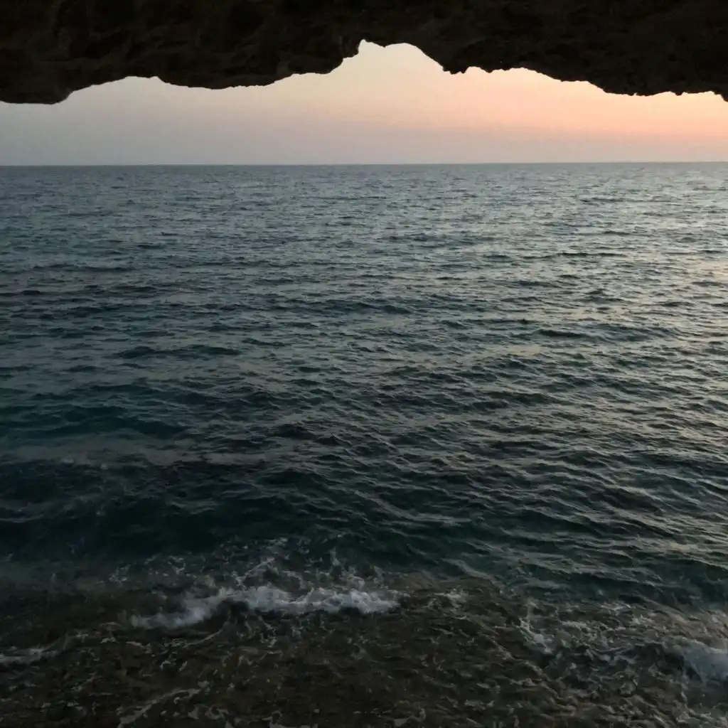 header-image