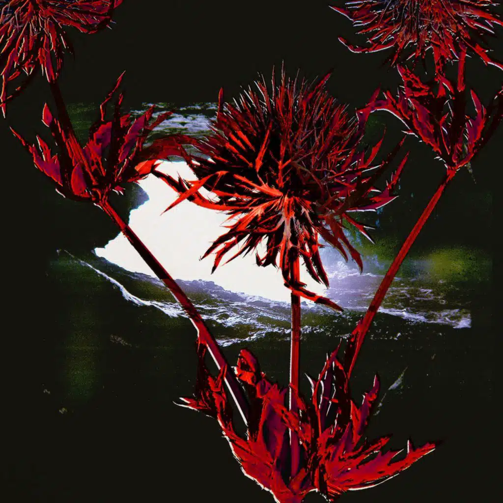 artist-header-image