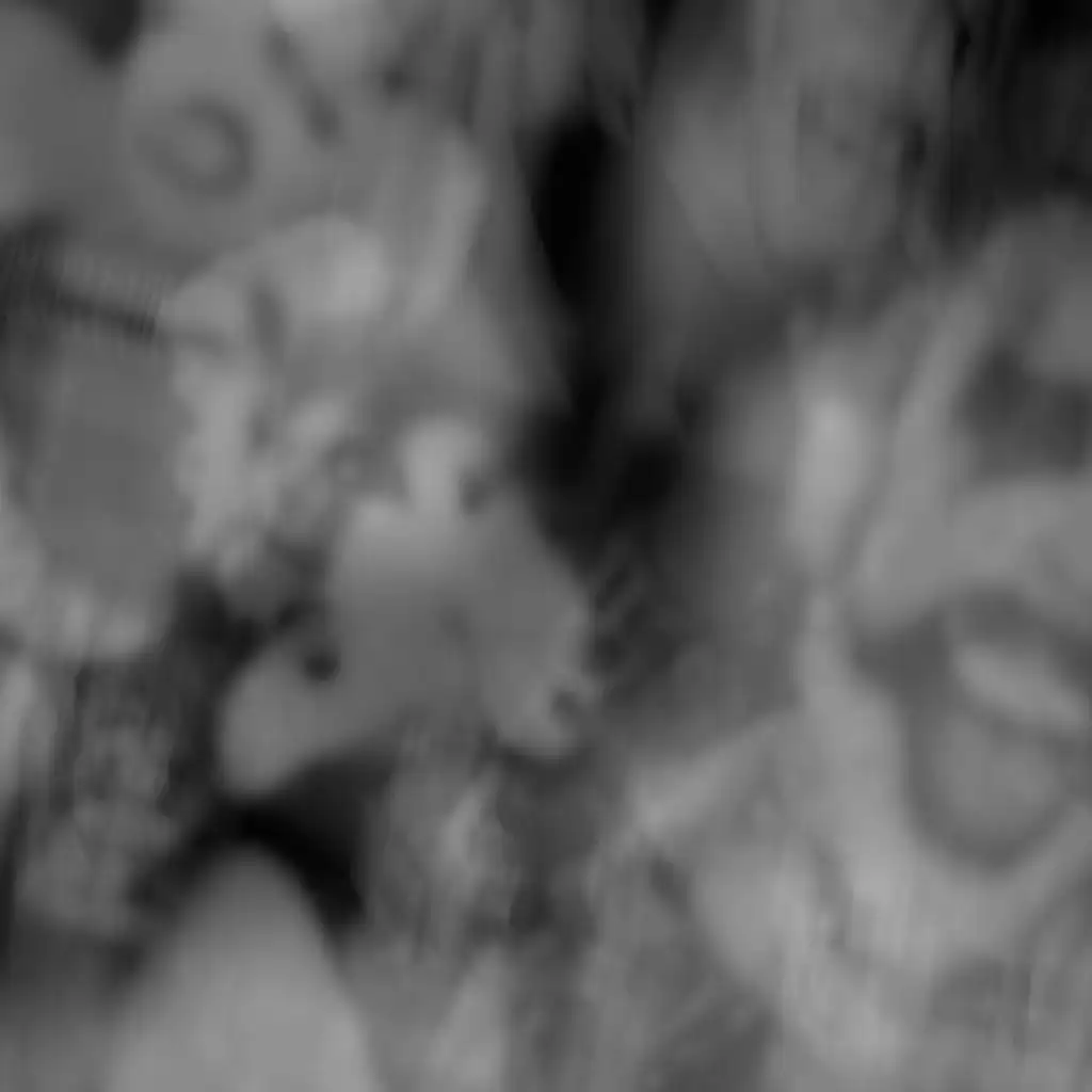artist-header-image