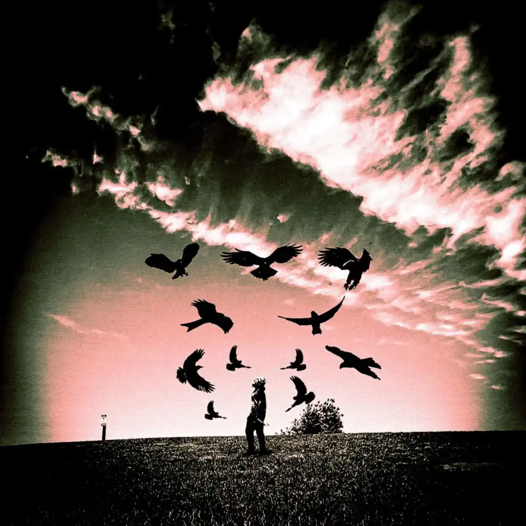 artist-header-image