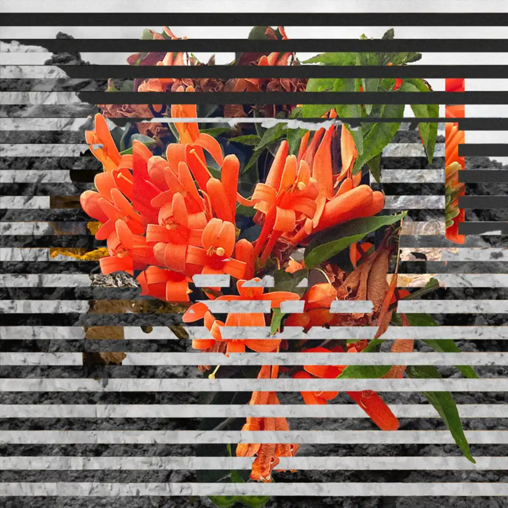 artist-header-image
