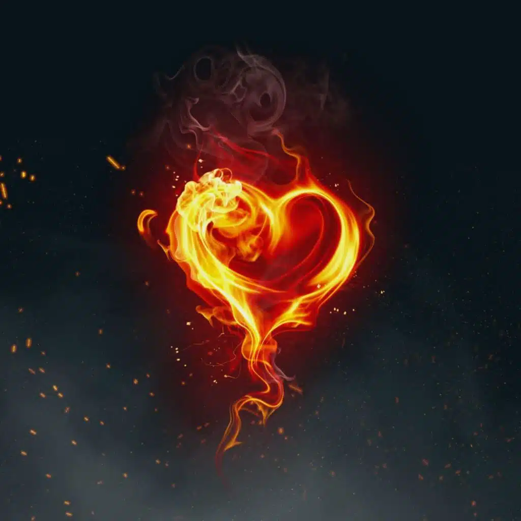 artist-header-image