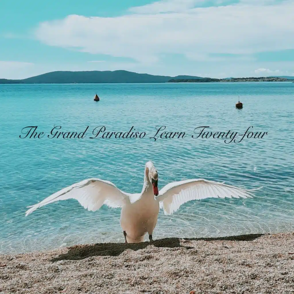 artist-header-image