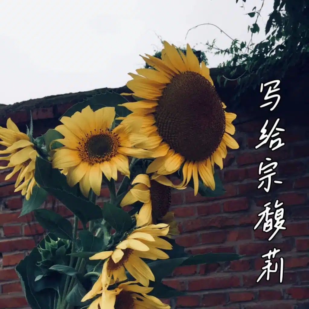 artist-header-image