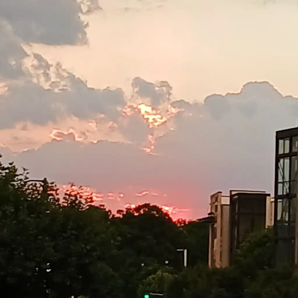 header-image