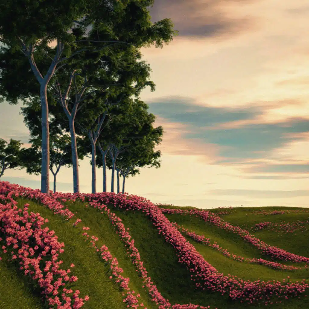 header-image