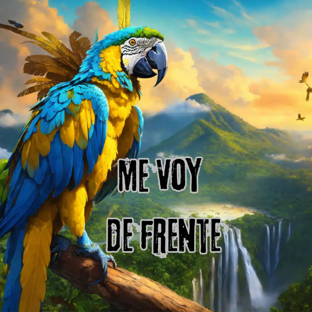 artist-header-image