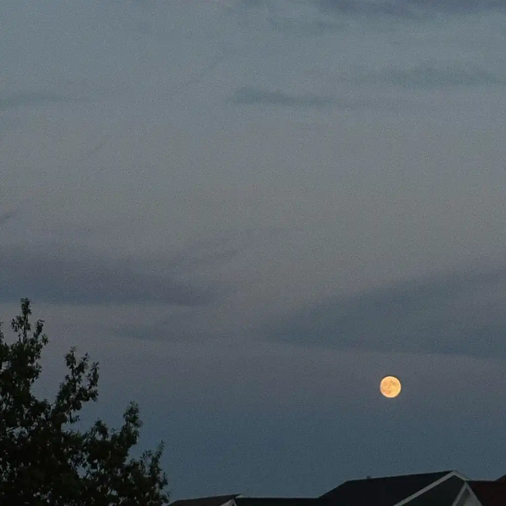 header-image