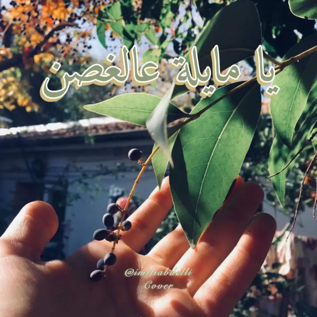 header-image