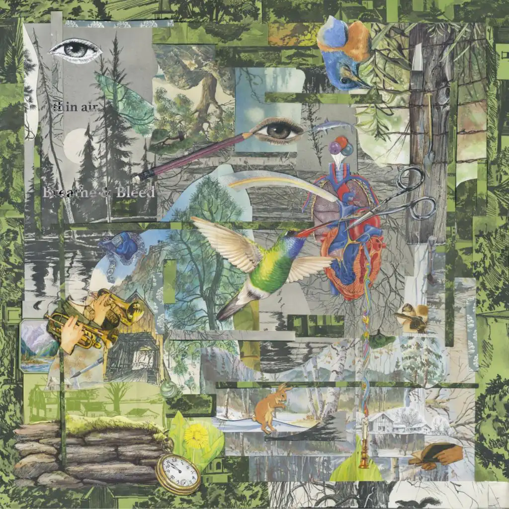 artist-header-image