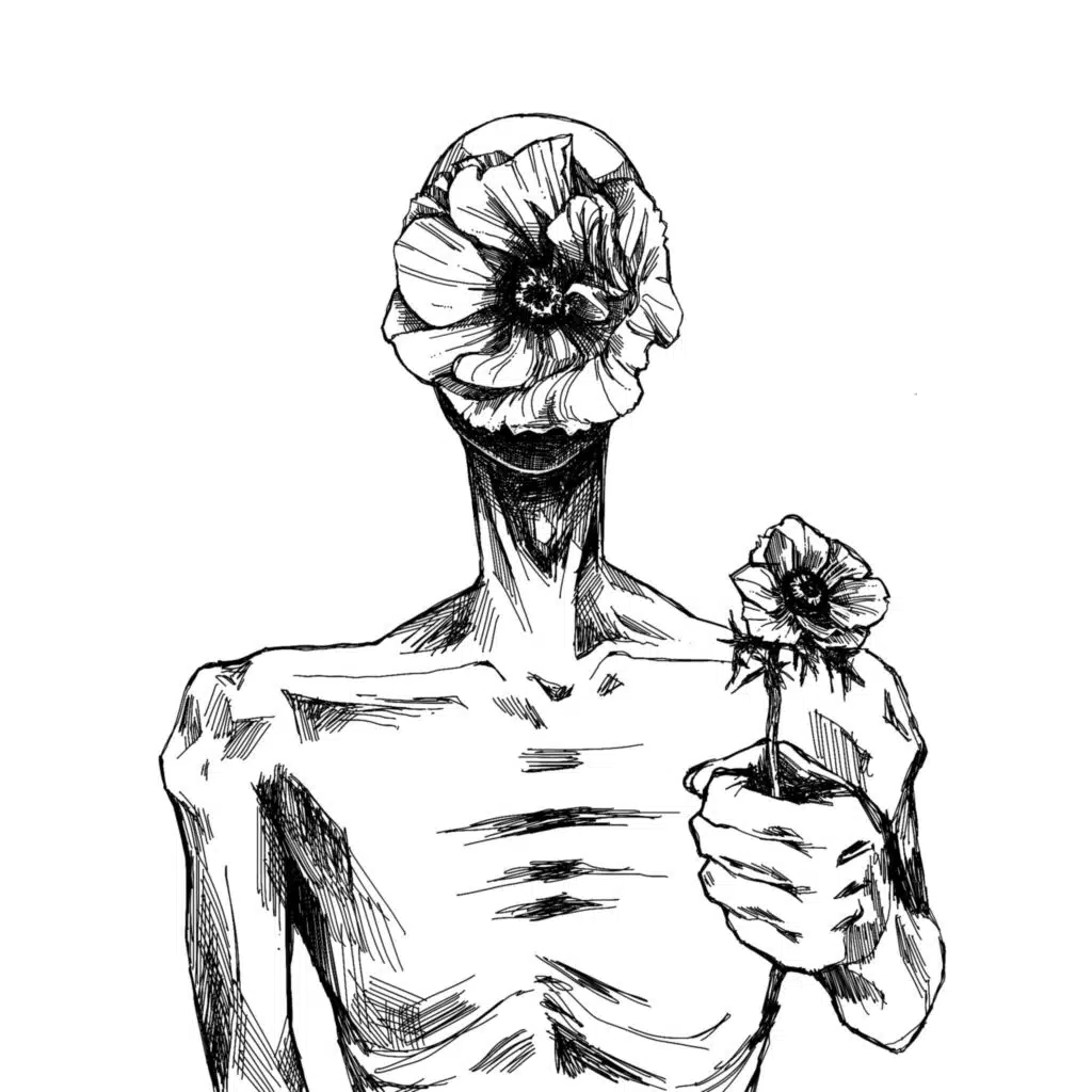 artist-header-image