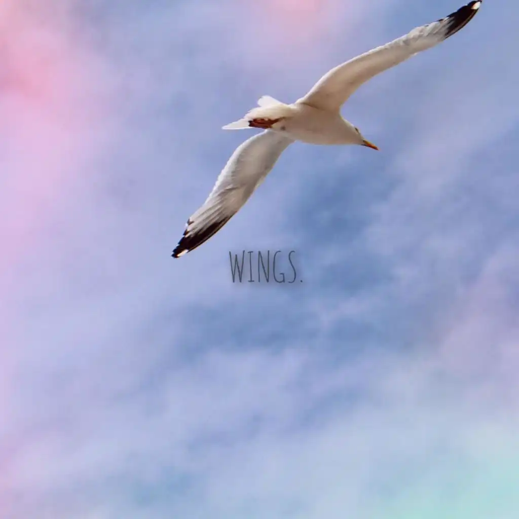 header-image